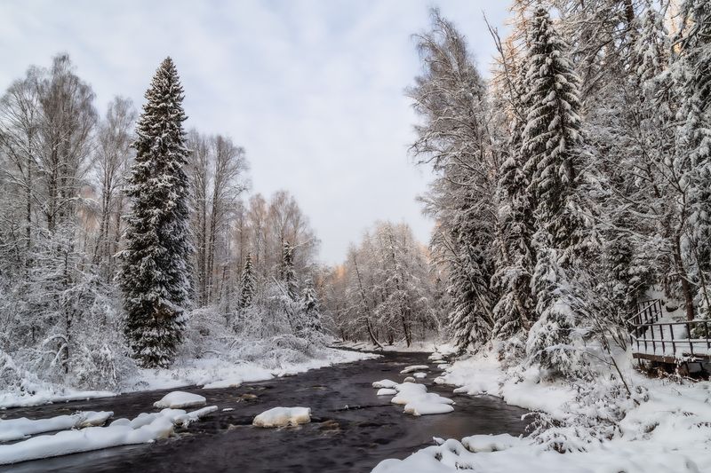 природа России, Ленинградская область, Линдуловская роща Зимняя сказка фото превью