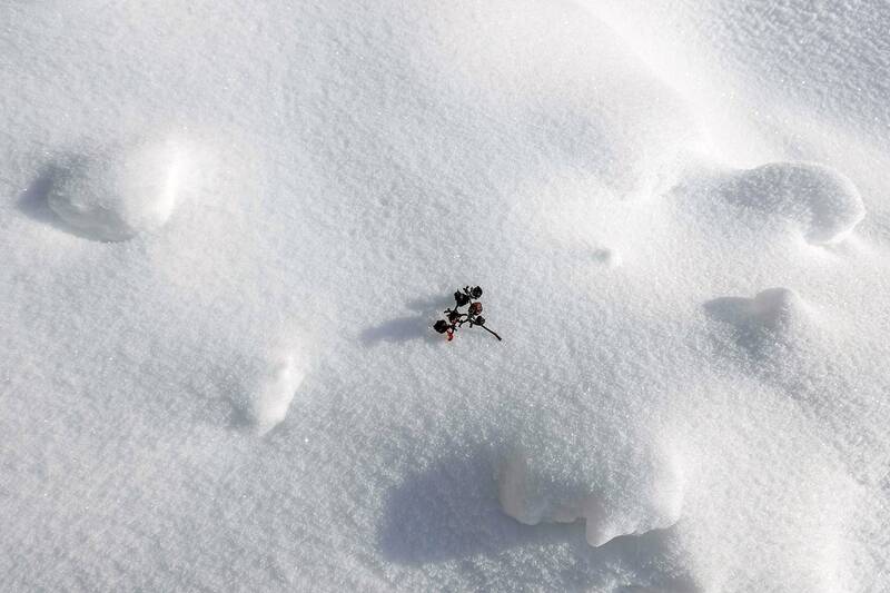 Снежный этюд фото превью