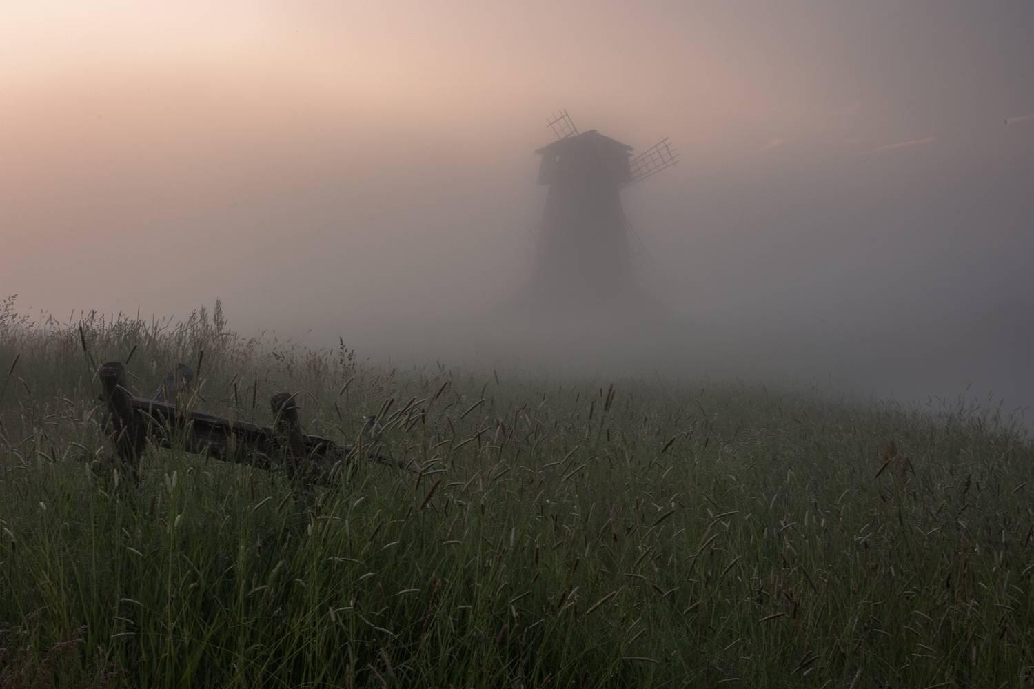 Псковская область, Гусева Елена