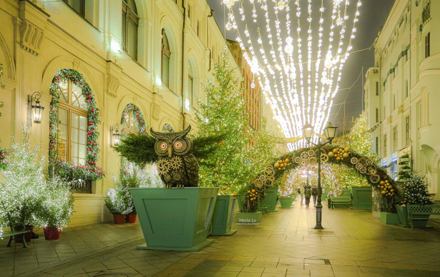 москва огнибольшогогорода зимняясказка сказкавгороде рождество проектзимавмоскве рождественскоенастроение снег рождественскиеогни новогодниеогни зимавгороде механикачудес сова ели механика ель совы паровоз плюшевыймедведь, Maria Lo