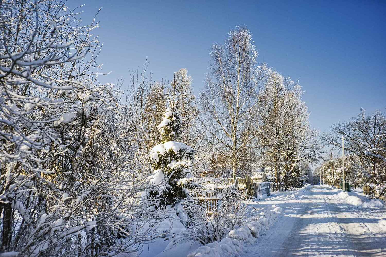 , Орлов Олег