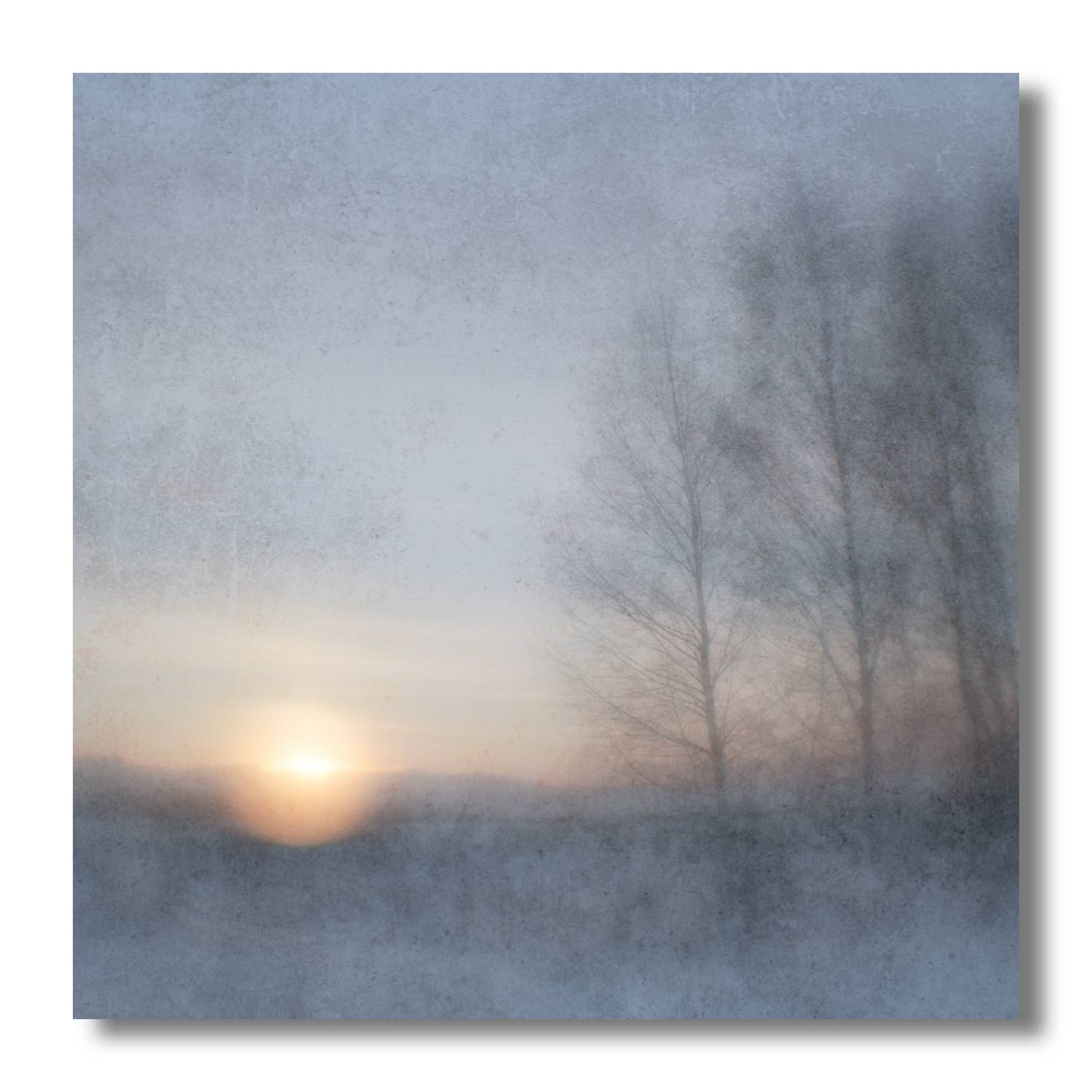 пикториализм, монокль, арт фотография, художественная фотография, пикториальный пейзаж, пикториальная фотография, русский пикториализм, современный пикториализм, Ефимов Андрей