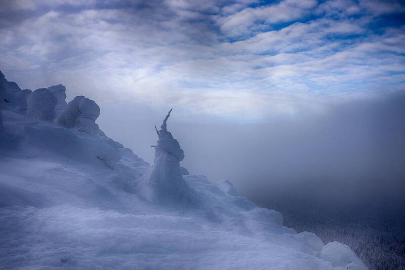 Низовая метель фото превью