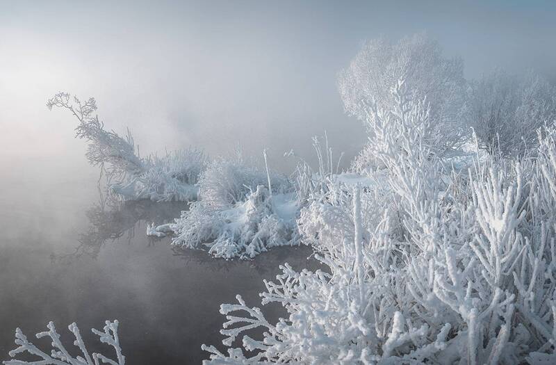 ... фото превью