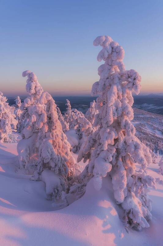 Красны девицы фото превью