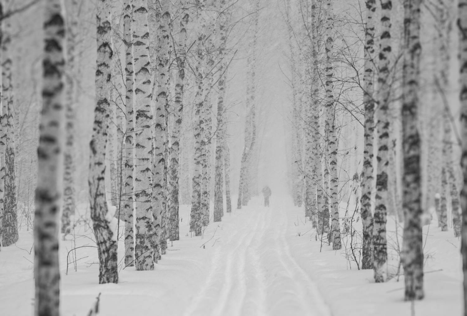 , Евгений Зинов