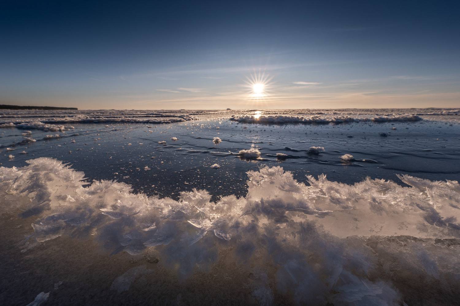 , Гордон Николай