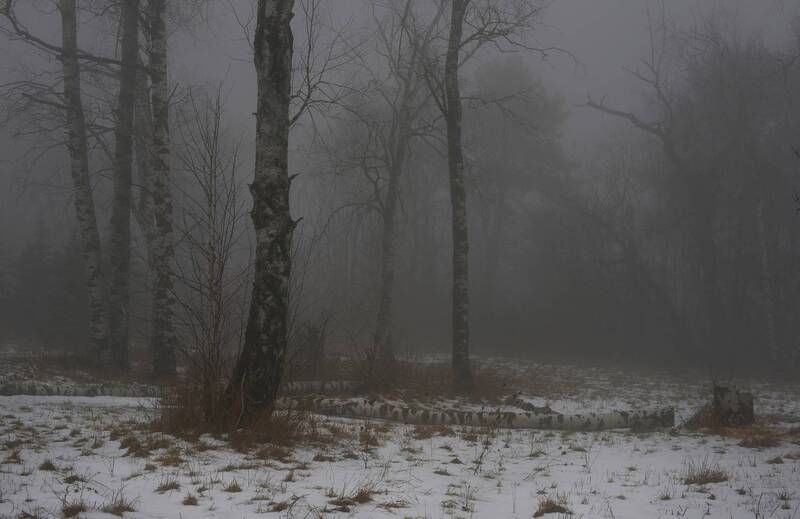 зима туман лес утро Туманное утро фото превью