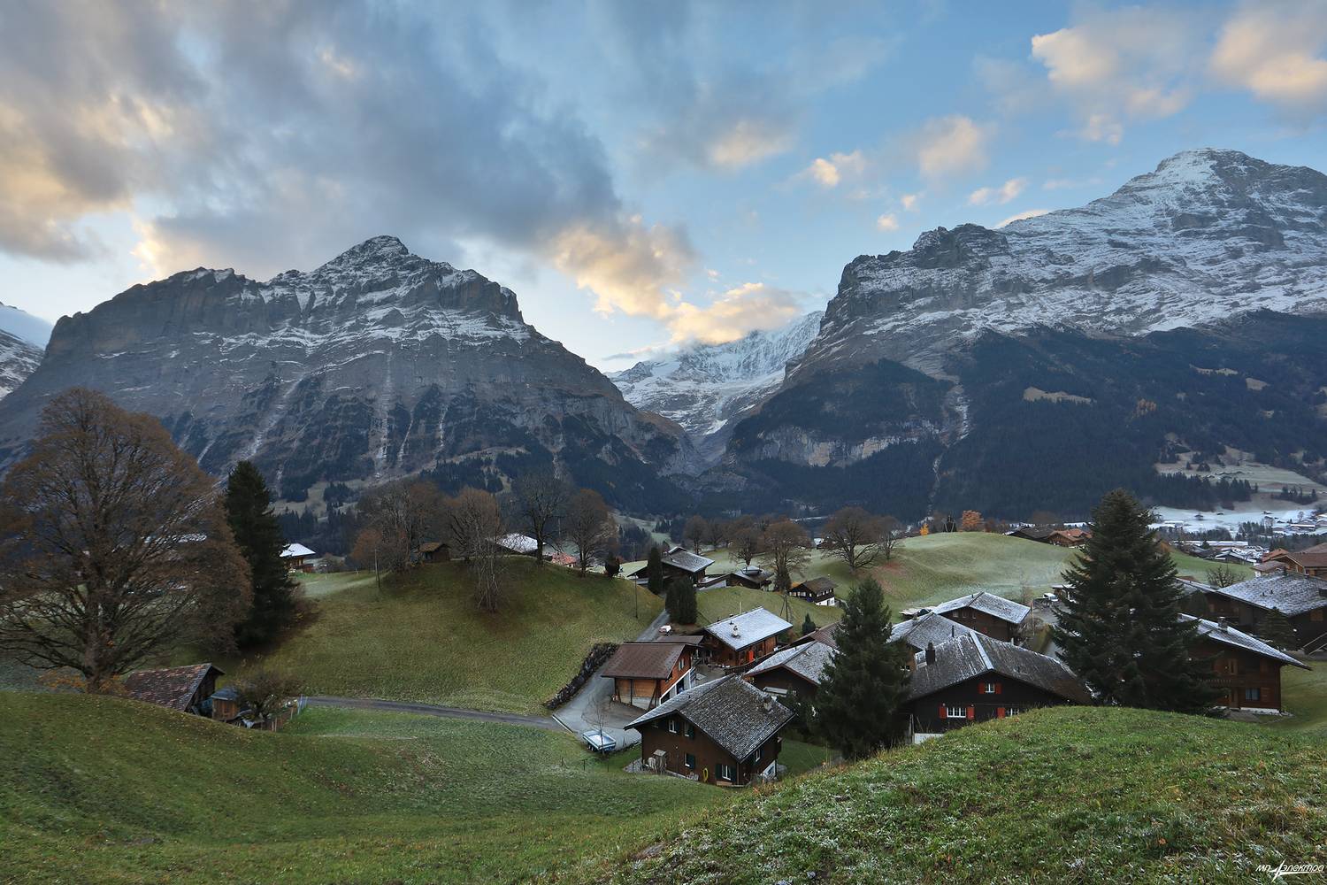 swiss, Матвеев Николай