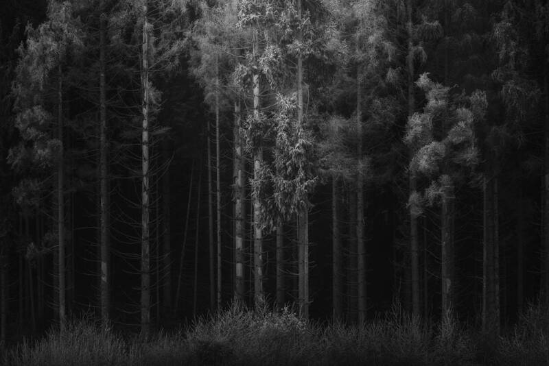 Enigmatic Dreams фото превью