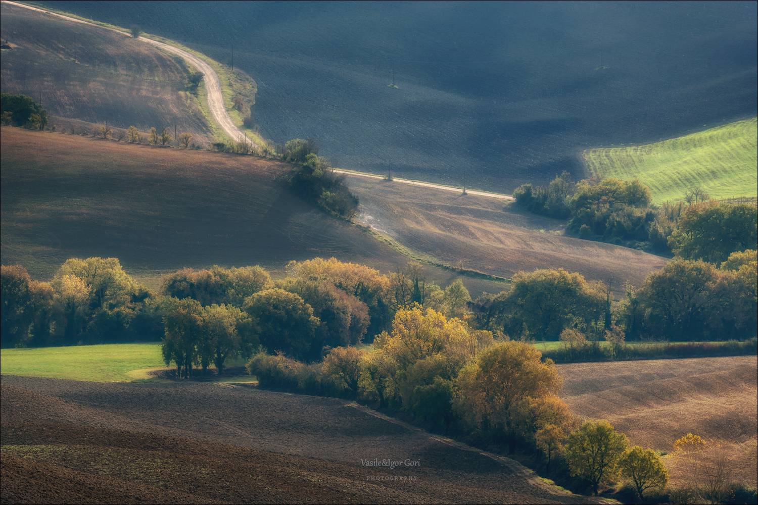 italy,san quirico d\\\'orcia,italia,италия,тоскана,pienza,кипарис,toscana,осень,tuscany,cipressi,belvedere,пьенца,тени,проблеск, Гори Василий