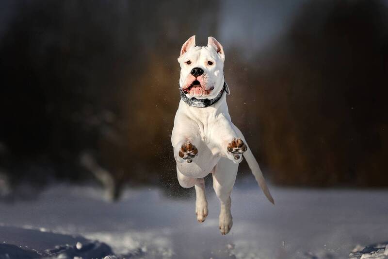 ..... фото превью