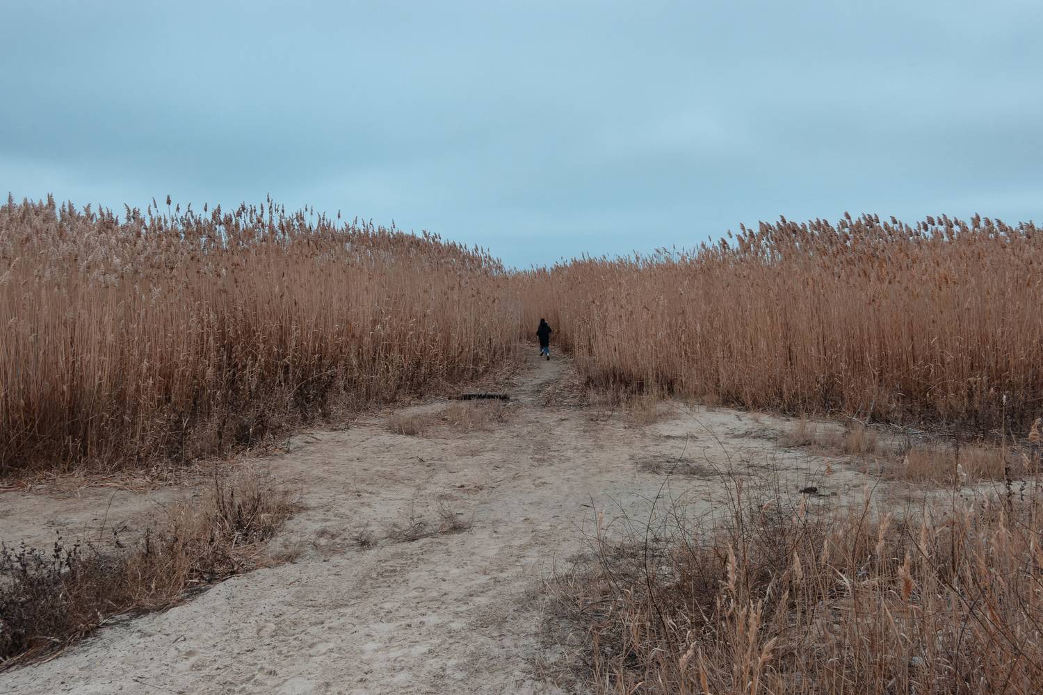 , Какоткин Роман