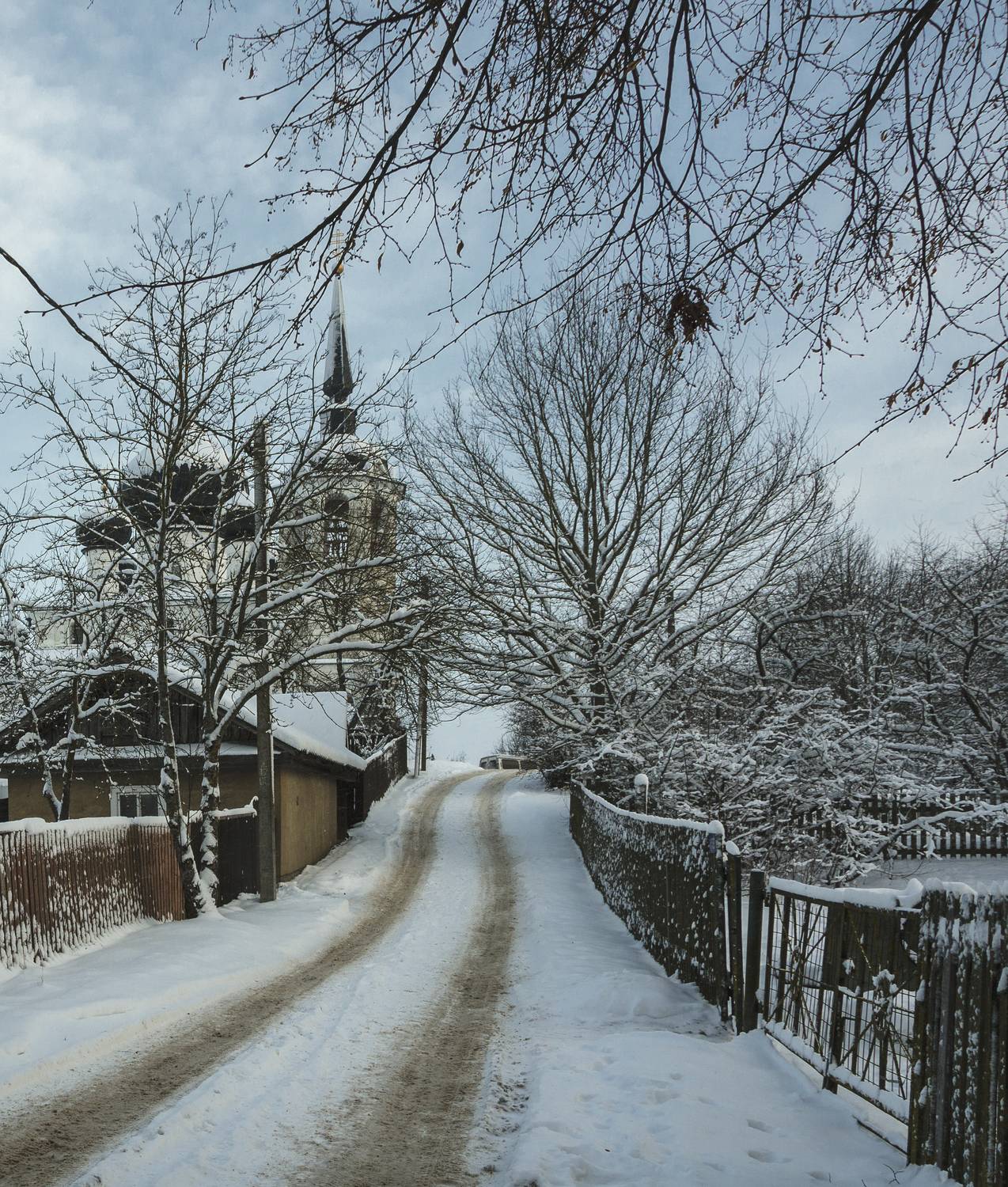 , Алексей Алешин