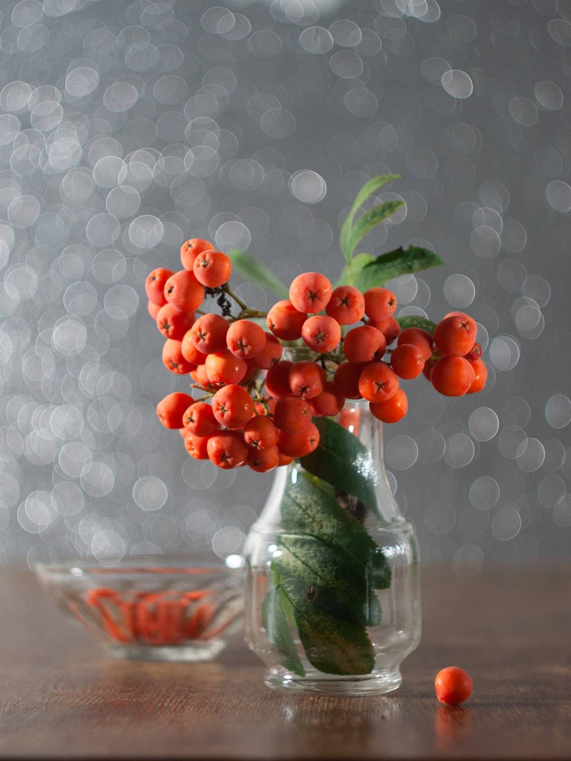 , Елена Павлюк