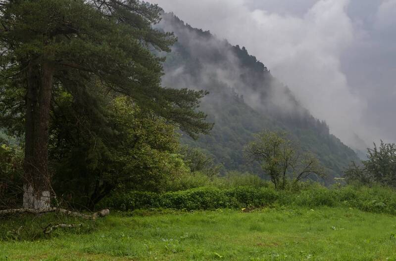 ... после дождя. фото превью