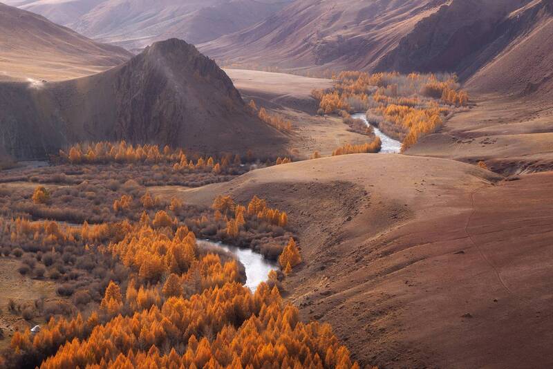 Кокоря фото превью