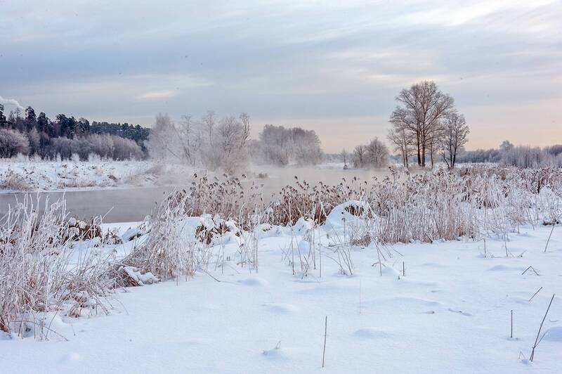 Морозный день начала февраля фото превью