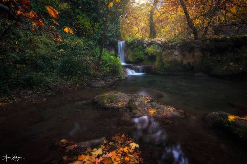 Zoragvan фото превью