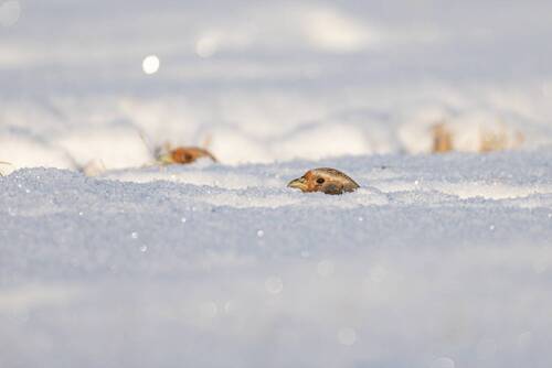Мы следим за тобой!