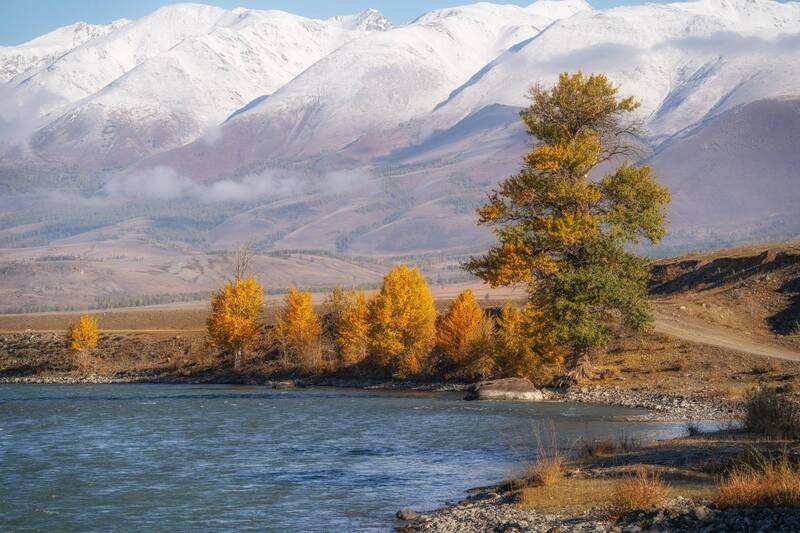 *** фото превью