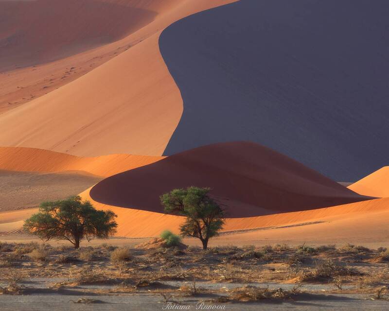 Графические рисунки долины Соссусфлей фото превью