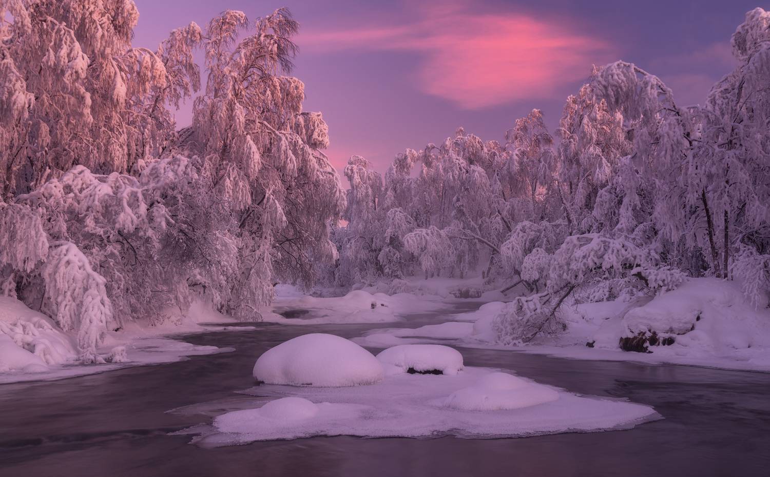 пейзаж,кольский,север,закат,россия,зима,вода,деревья,снег,россия,север,мурманская область, Истомин Виталий