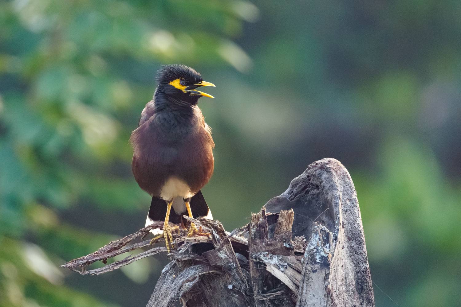 , ssmirs Сергей