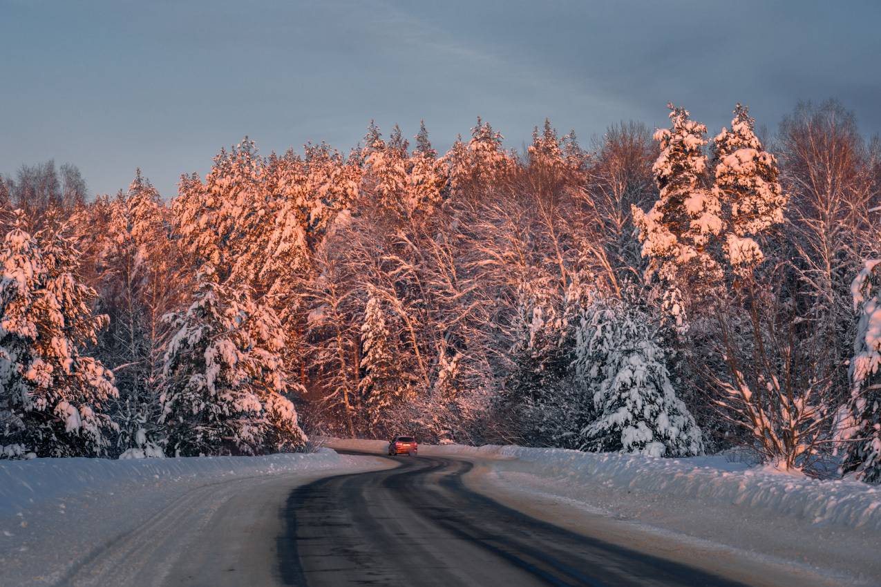 лес дорога вечер серково, Алексеев Дмитрий