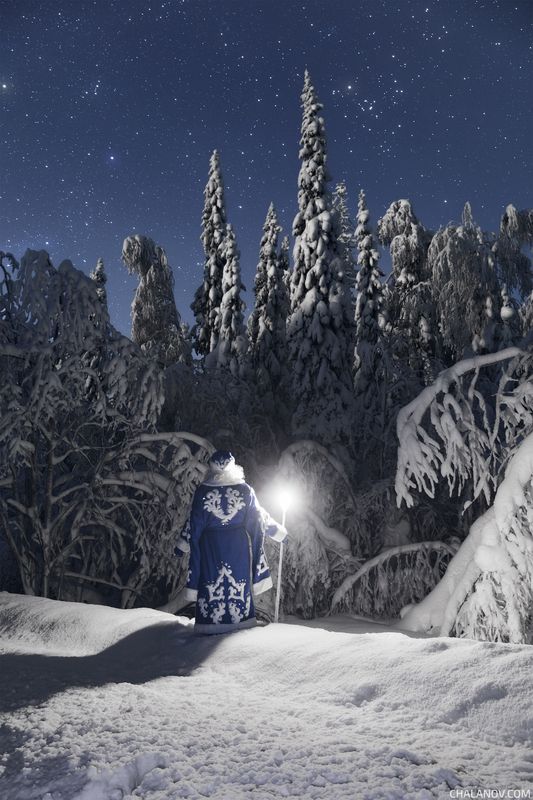 Лунная ночь фото превью