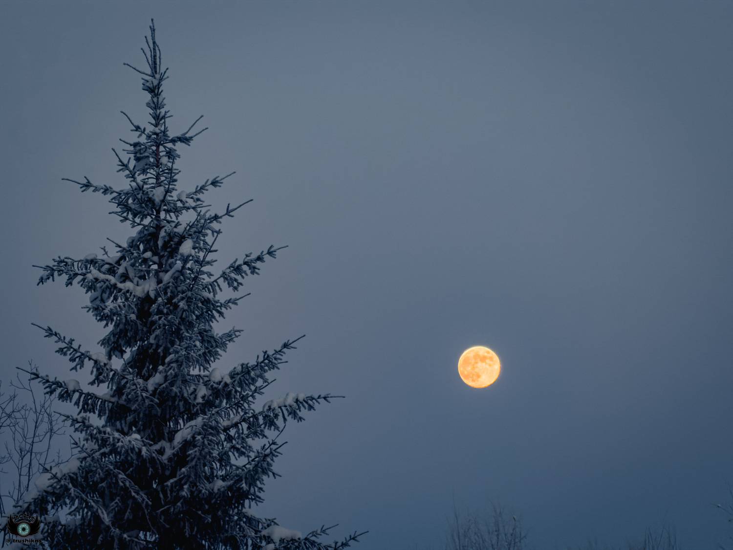 , Vladislav Trushkov