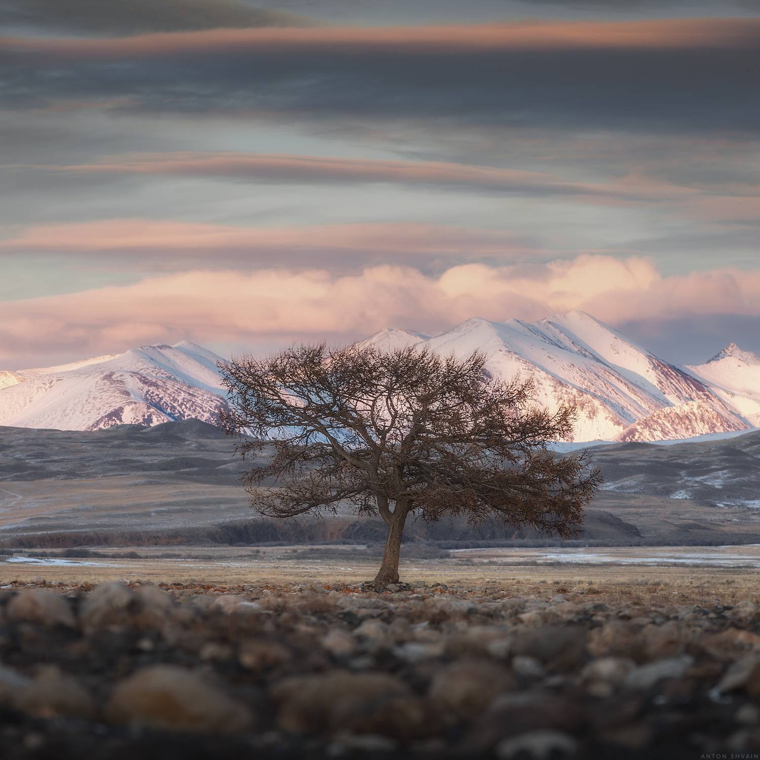 , Антон Шваин