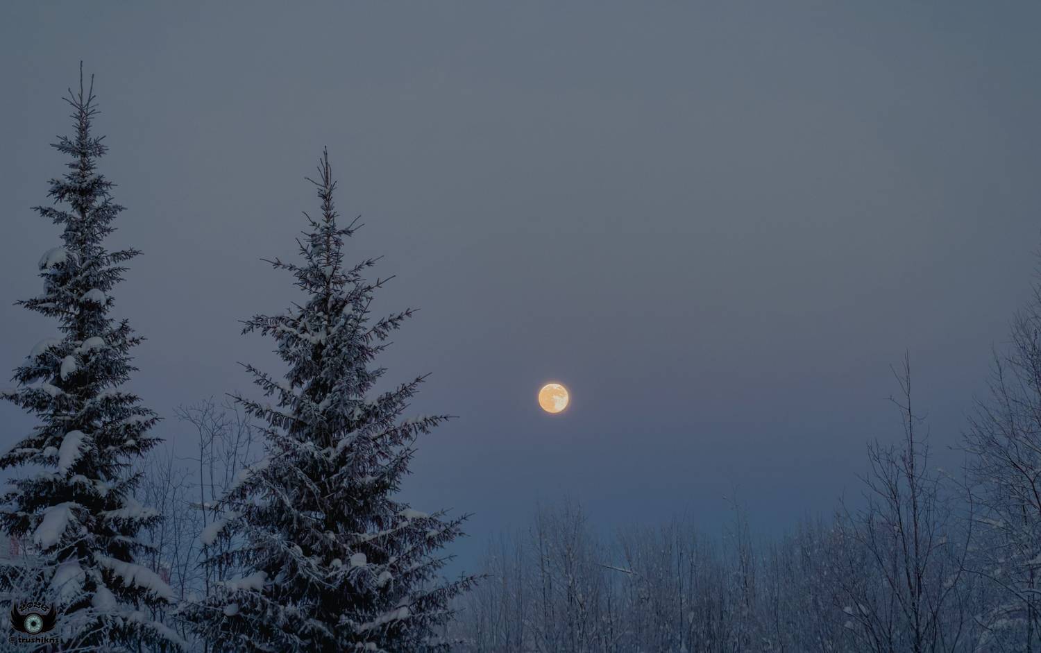 , Vladislav Trushkov