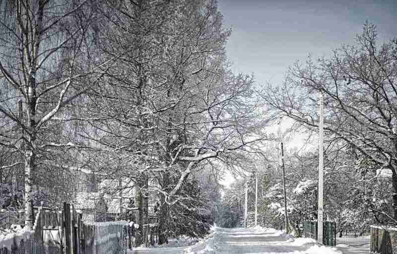 *** фото превью