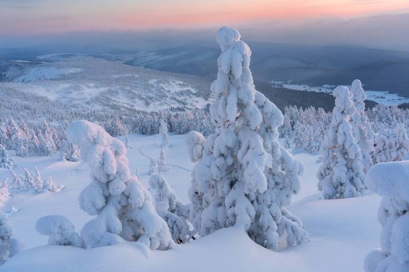 Сахар и синева фото превью
