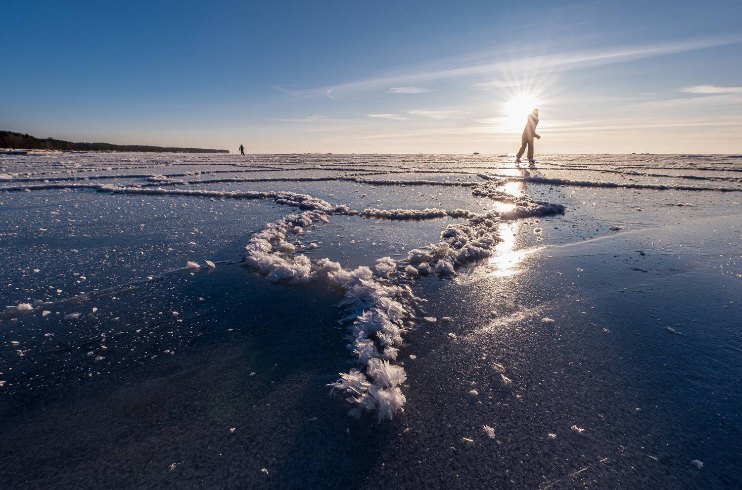 , Гордон Николай