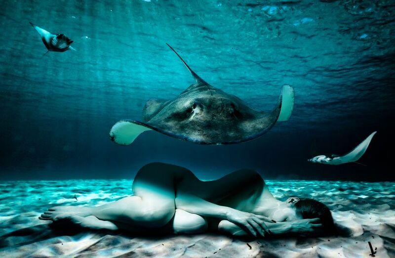 фото превью