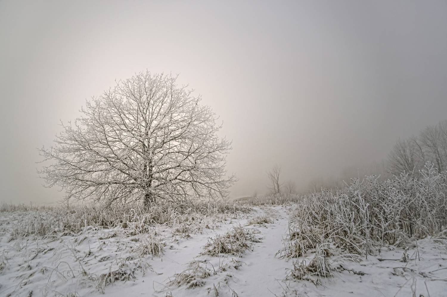 , Шитов Александр