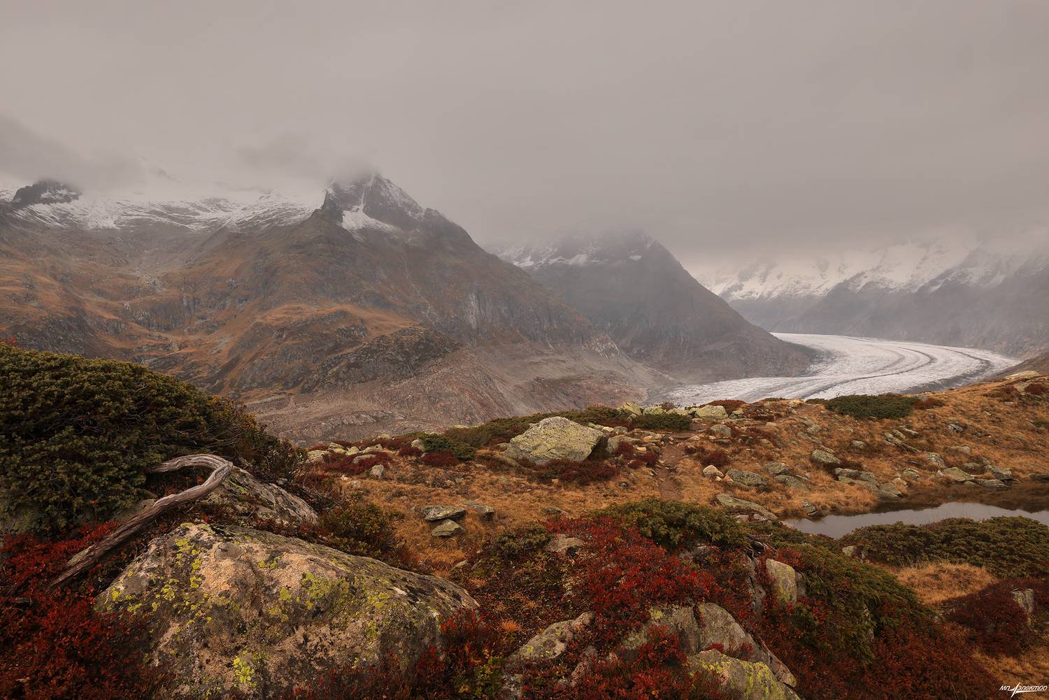 swiss, Матвеев Николай