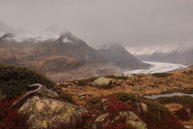 swiss Осень.. фото превью