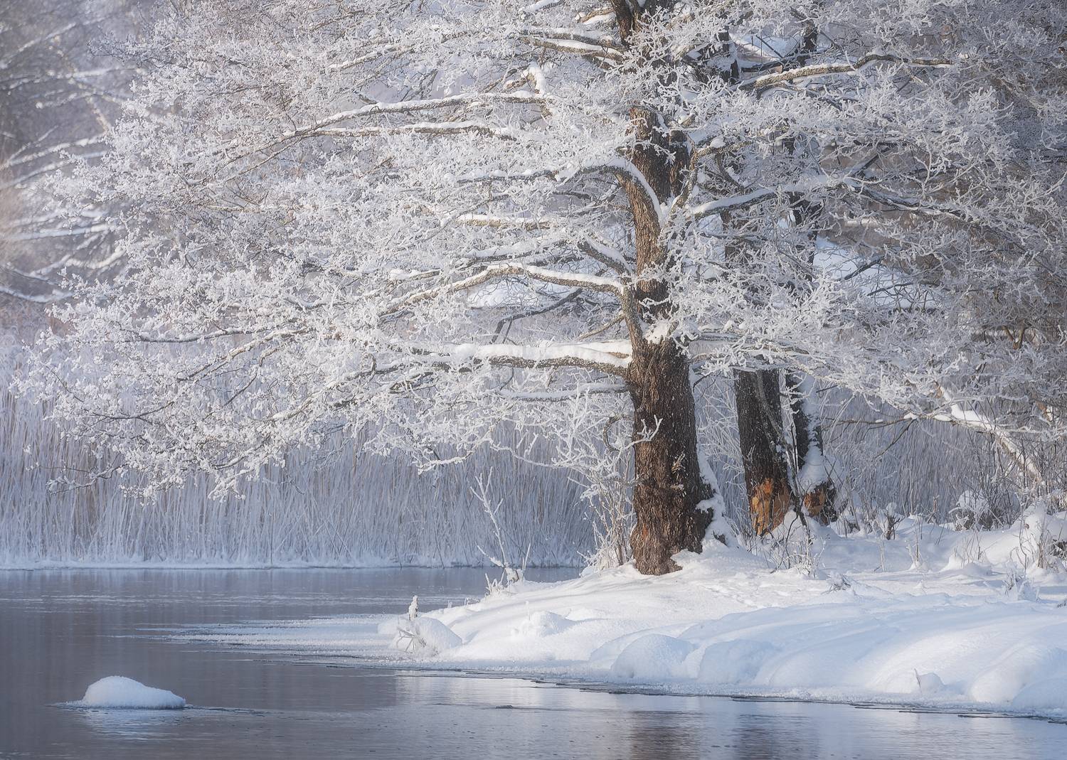 утро рассвет мороз река, Andrew Kuzmin