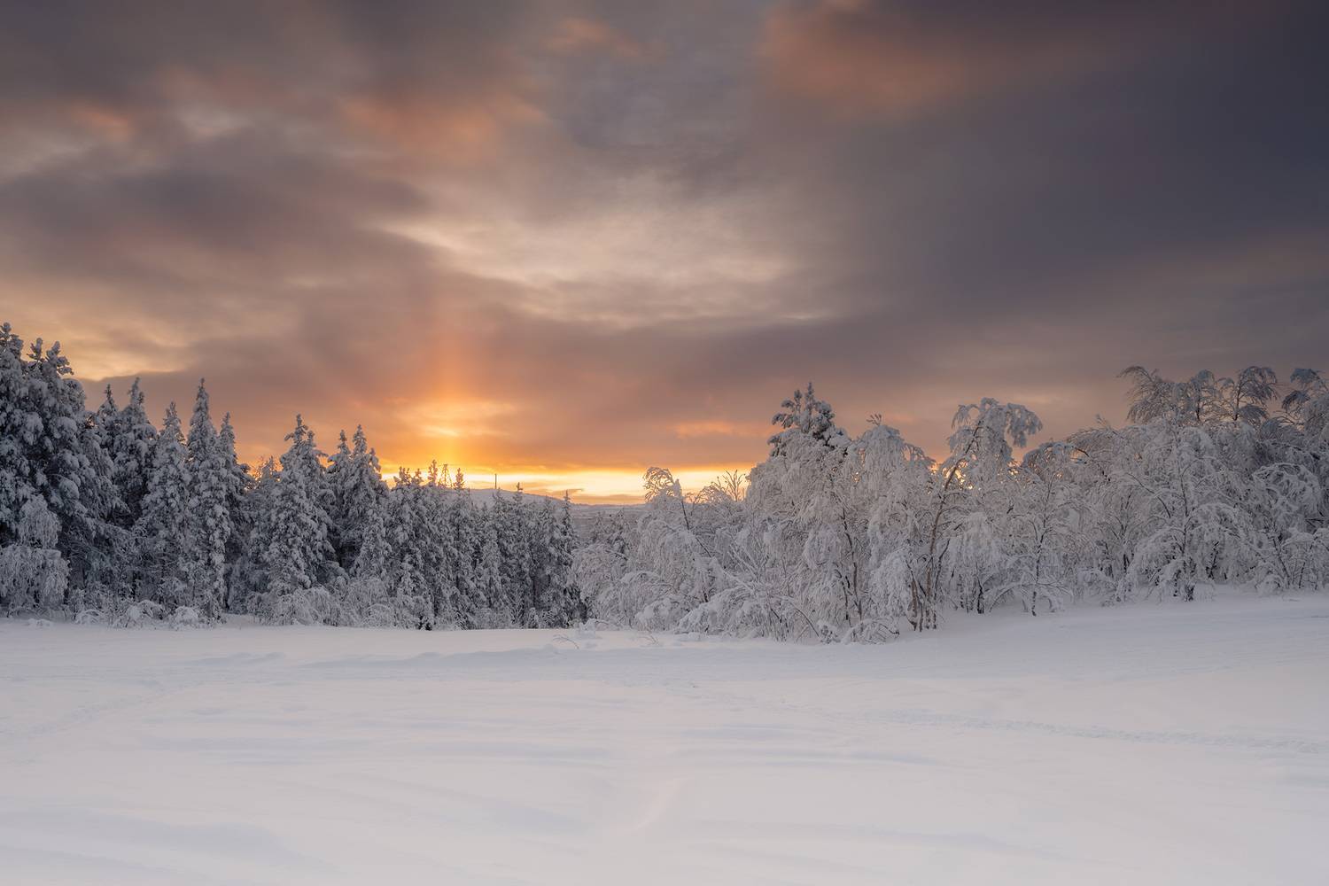 , Ворошилов Александр