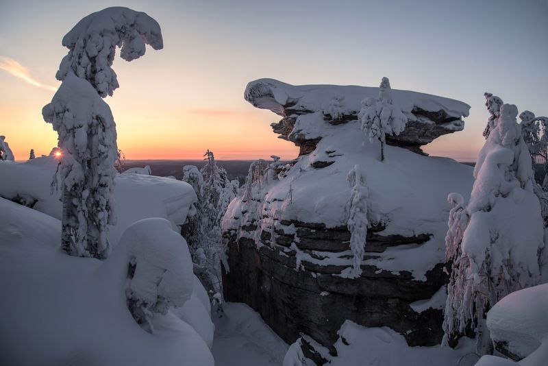 Черепаха фото превью