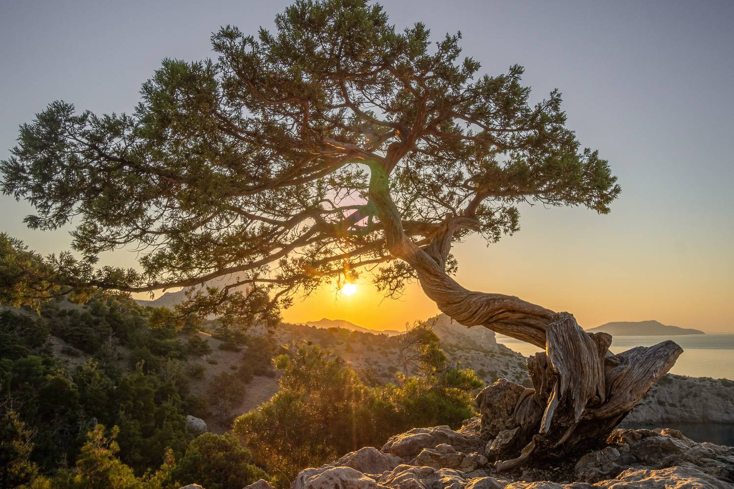 , Кривцов Андрей