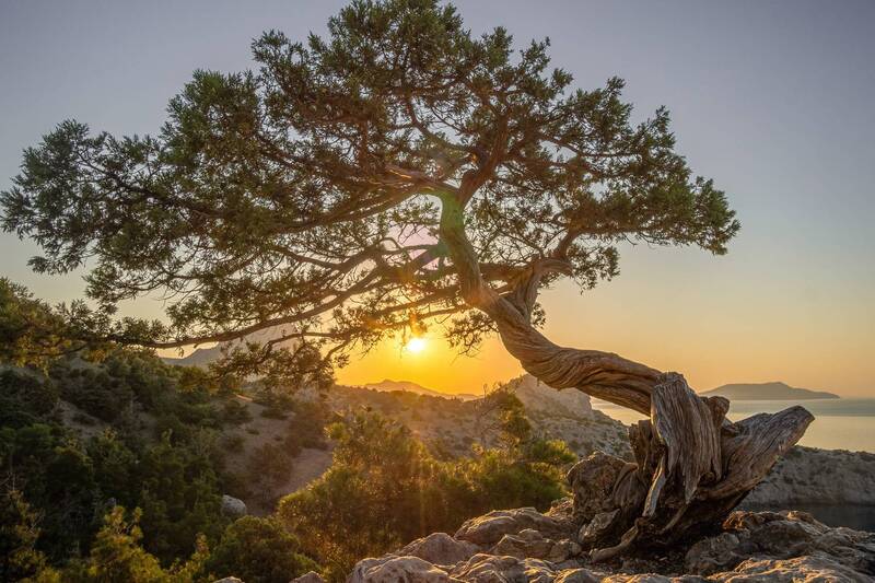 Узел времени фото превью