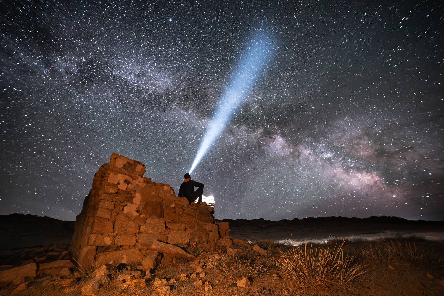 , Александр Ипполитов