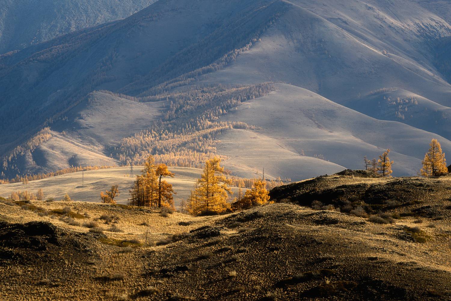 , Юлия Шустерова