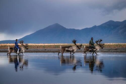 Mongolia Tsaatan