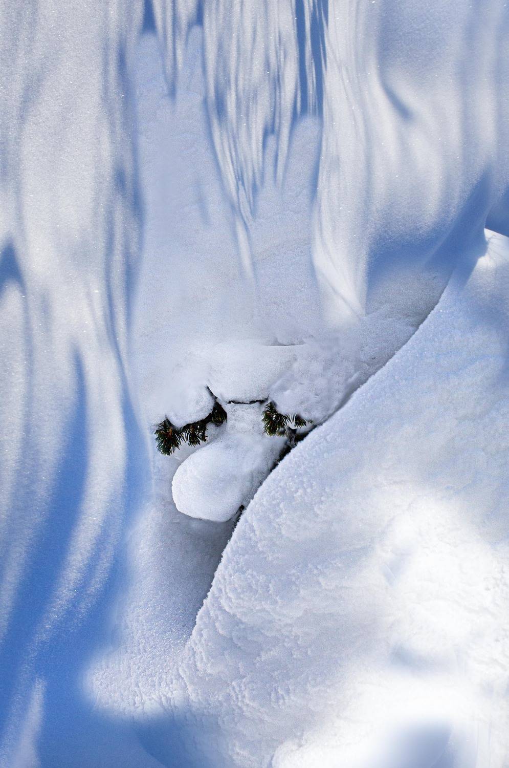 , Валентин Черновол