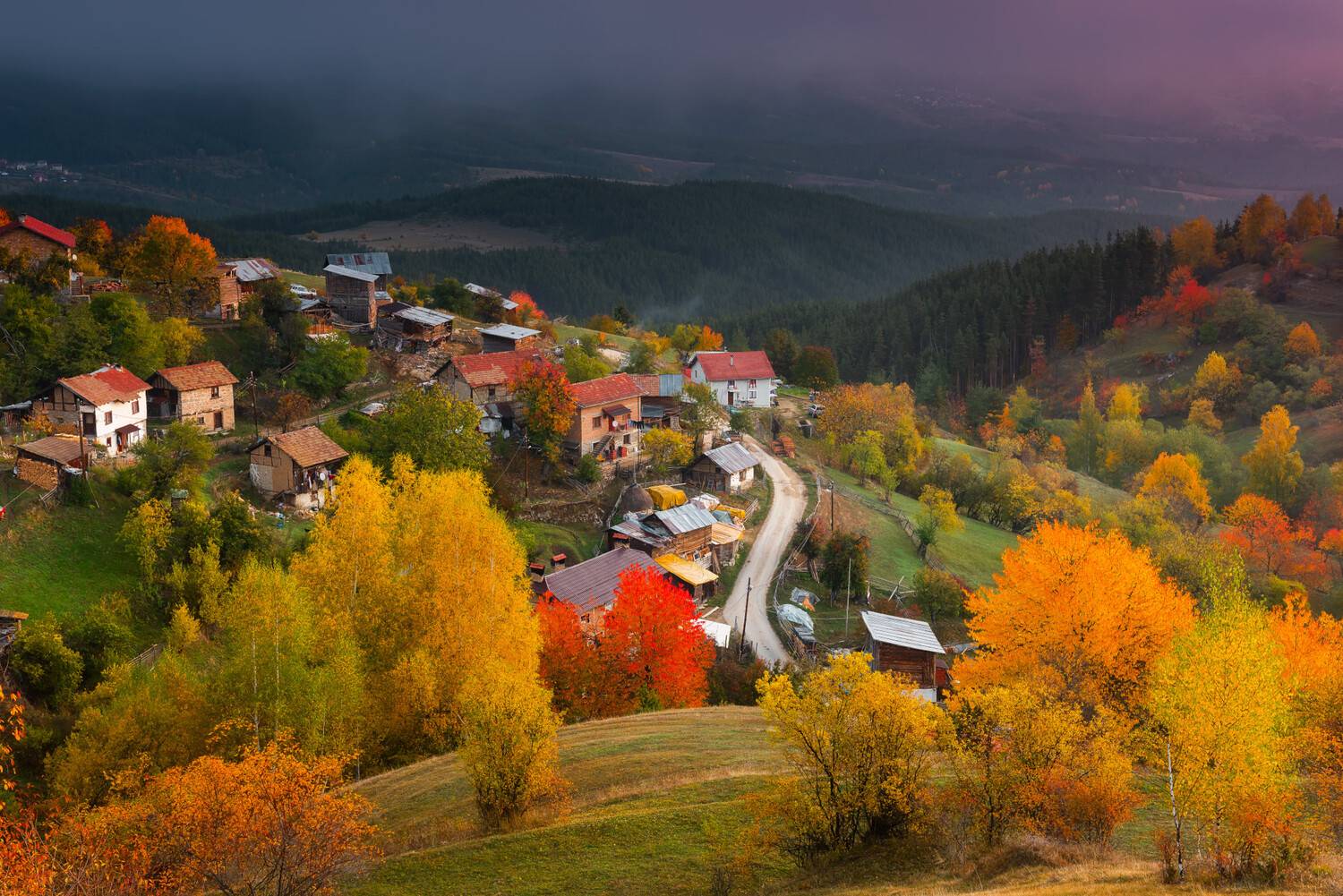 , Mariyana Atanasova - Lucero